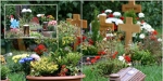 Ein Sommerbild aus dem Bildband