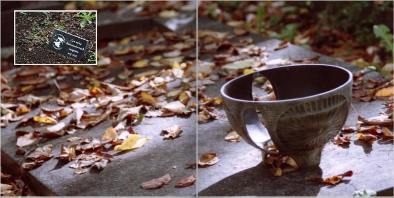 Ein Herbstbild aus dem Bildband